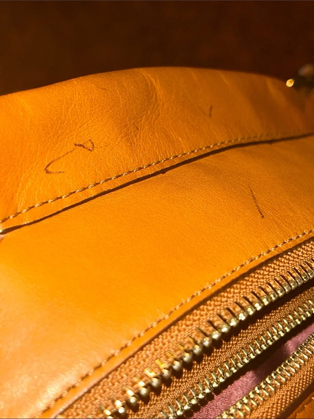Coach Leather Shoulder Bag in Caramel